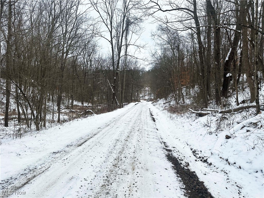 Township/Jackson - Land