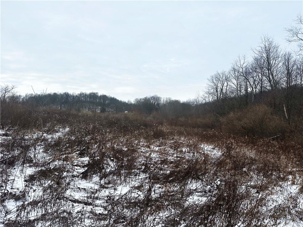 Township/Jackson - Land