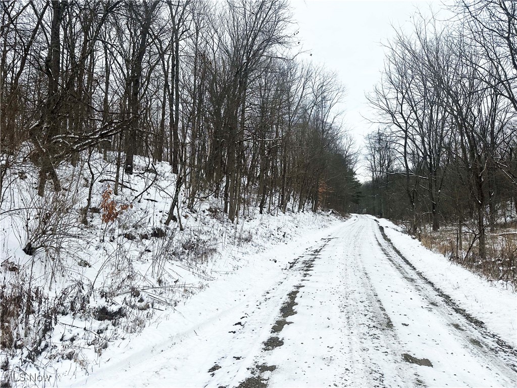 Township/Jackson - Land