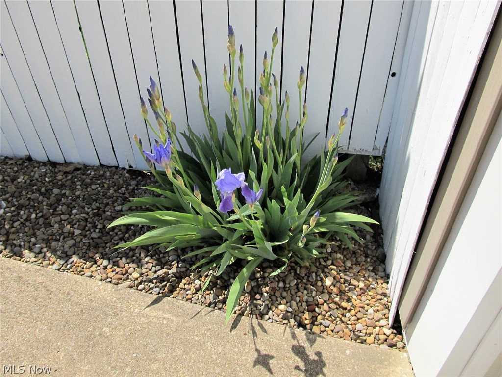 Belvoir Golf - Residential