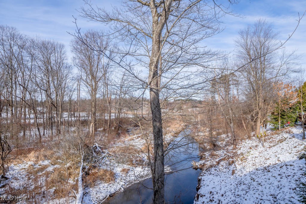 Plesant Lakes Condo - Residential