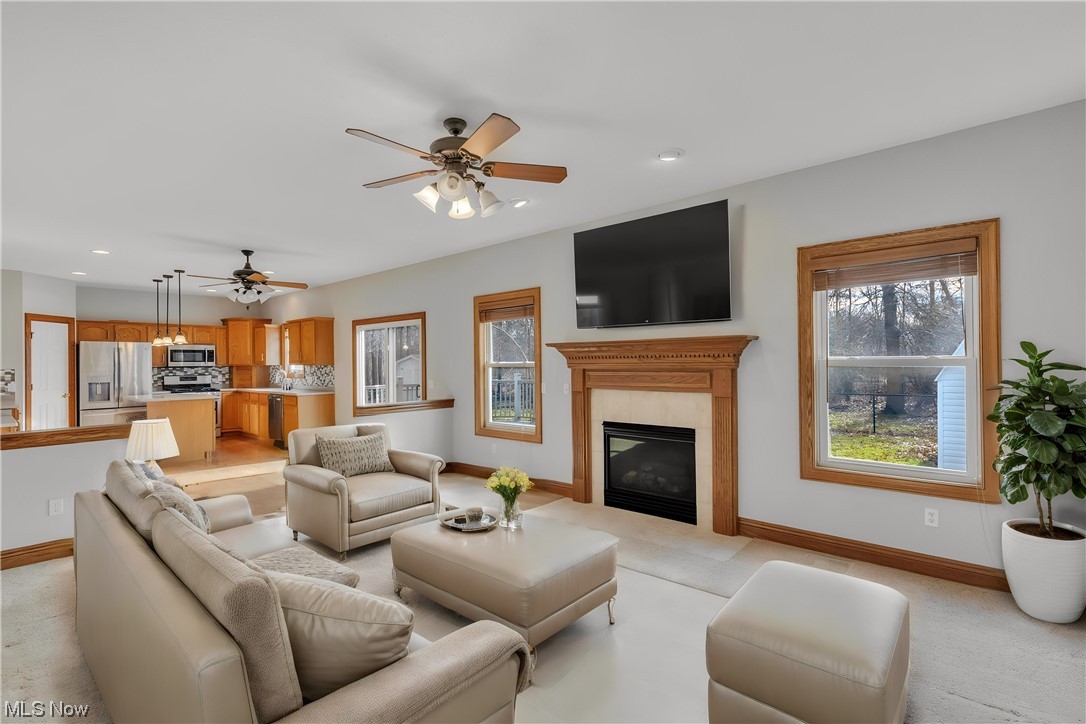 Lake Erie Shores - Residential