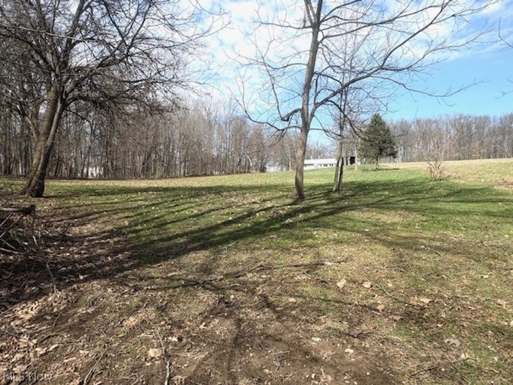 Photo of 38019 Longs Crossing Road, Leetonia, OH 44431 (MLS # 5193435)