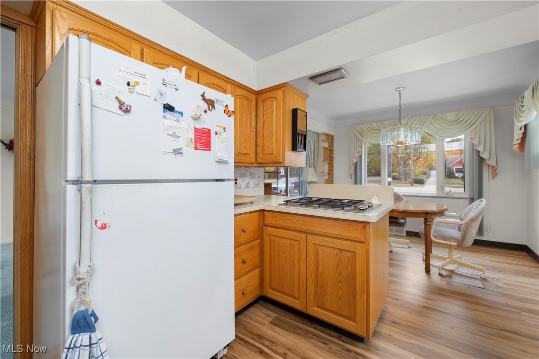 Parma Heights Dev Cos Eureka Park - Residential