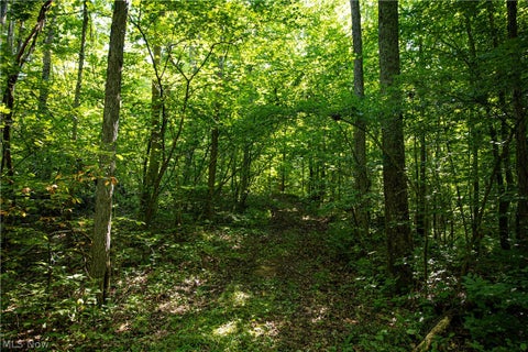 Tiny photo for 27339 Tabor Ridge Road, Caldwell, OH 43724 (MLS # 5227441)