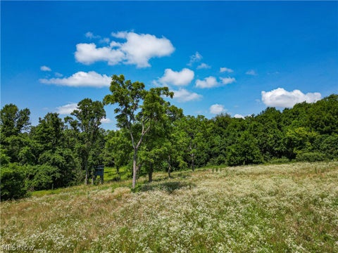 Tiny photo for 27339 Tabor Ridge Road, Caldwell, OH 43724 (MLS # 5227441)