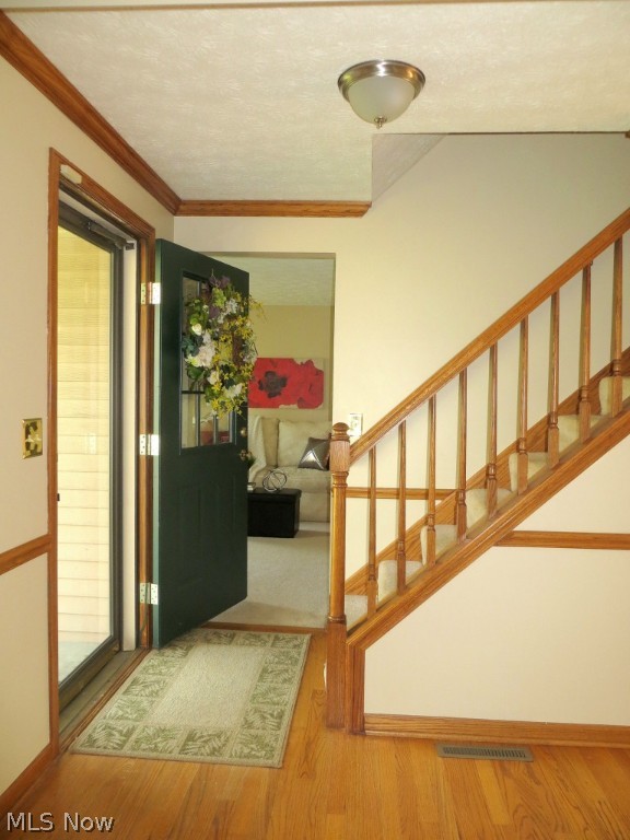 Glenwood Preserve - Residential