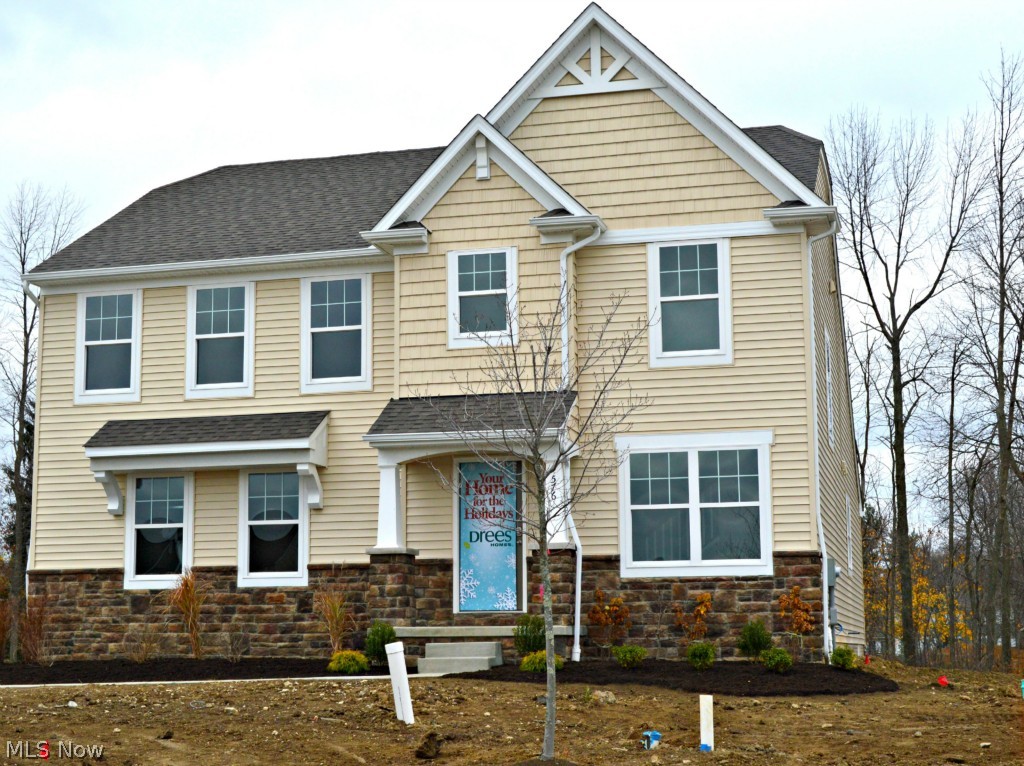 Meadows of Aurora - Residential