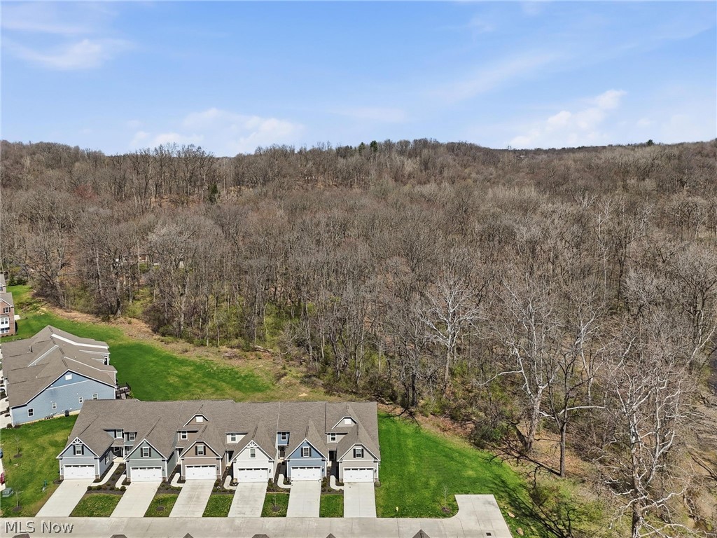 1581 Mud Brook Court