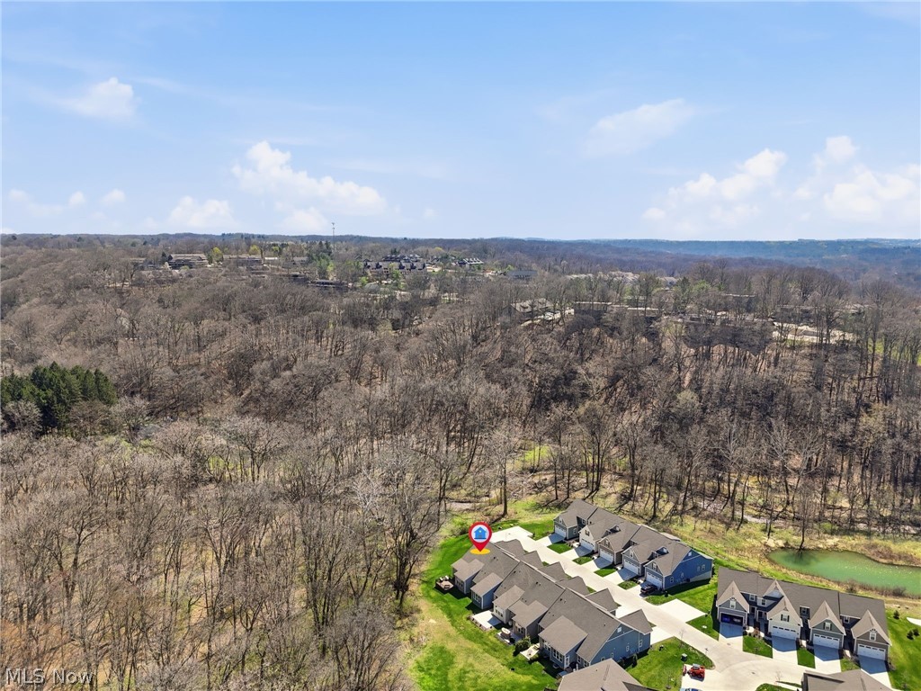 1581 Mud Brook Court