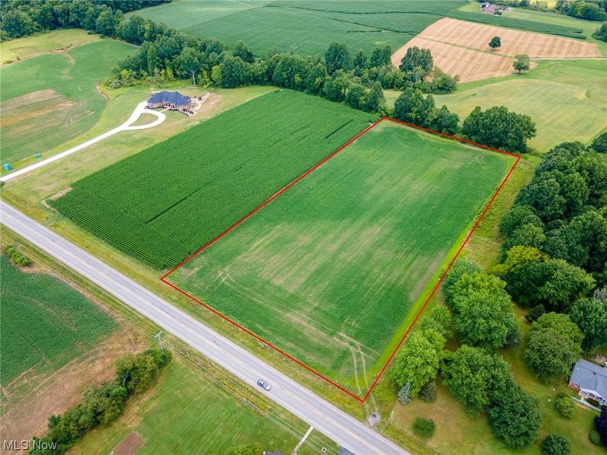 Perfect opportunity to build your dream home on FIVE acres! Country setting with easy access to nearby shopping, dining and State Route 11, all in Canfield school district!