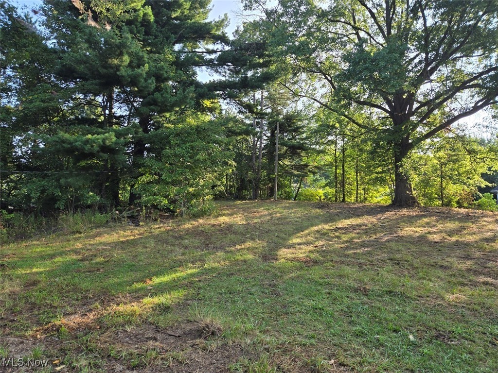 Justus Avenue, Navarre, Ohio image 4