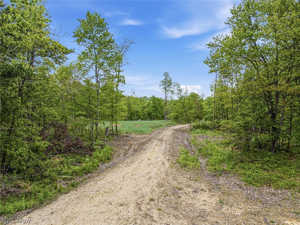 69 acres Newlon Road