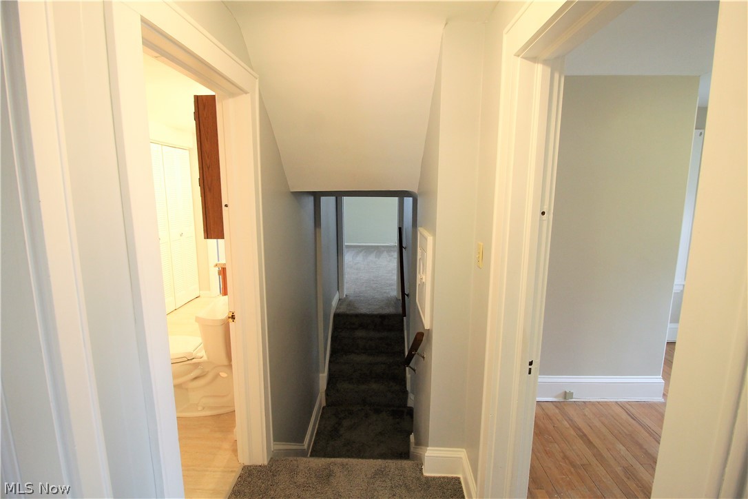 Wayne Park - Residential