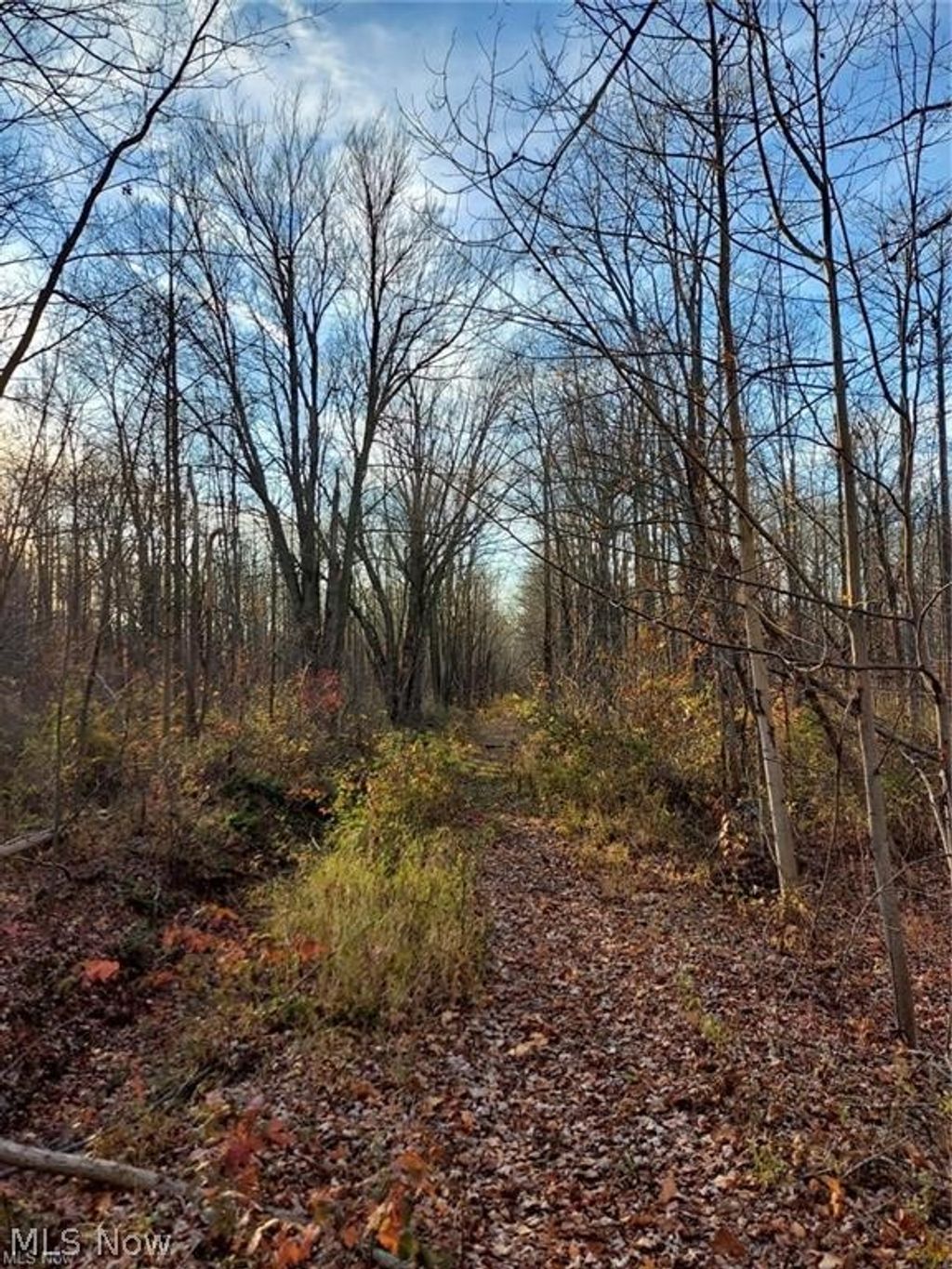 Photo of Magnolia Drive, Madison, OH 44057 (MLS # 5195209)