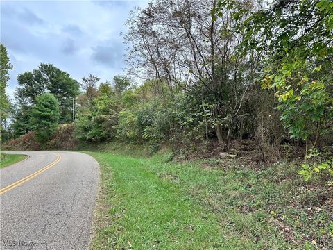 Vacant Land For Sale - 3275 Highland Ridge Rd Road<br/> Lowell, OH 45744