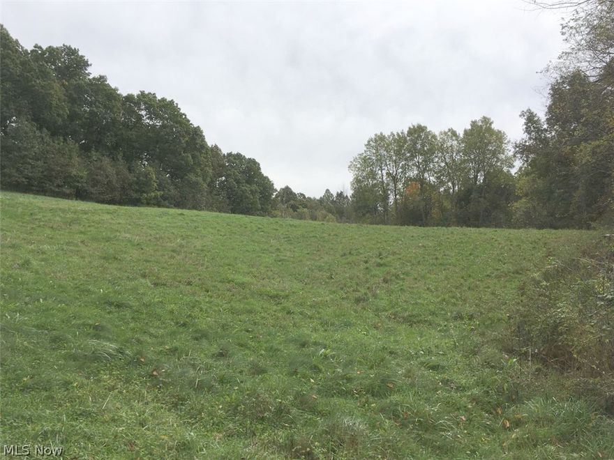 Auction Sat. Nov. 17th @ Noon - Real Estate: 60.281 acres of vacant land-will be offered in 3 existing Carroll county parcels - then as a whole and sold whichever merits the seller the most. An increase of 1% of the total price is required to break tie and purchase property as a whole.Feel free to walk the property at your convenience.  Parcel#1: 5.023 Acres - 9090 Derry Rd. Bowerston - Parcel #28-0000324.008.  Approx. +/- 580’ of frontage - pie shaped lot mostly wooded - Carroll County-Perry Twp. Parcel #2: 8.193 Acres - 9080 Derry Rd. Bowerston - Parcel #28-0000324.007.   Approx. +/- 279’ road frontage - mostly wooded - Carroll County-Perry Twp. Parcel #3: 47.065 Acres - 9070 Derry Rd. Bowerston - Parcel #28-0001467.004. Approx. +/- 627’ of frontage - Open & wooded - Carroll County-Perry Twp. Terms: 10% non-refundable deposit down per parcel(s) day of auction. Balance due at closing. Sells to highest bidder with no contingencies. Owner to retain all mineral rights.  All acreage & fro
