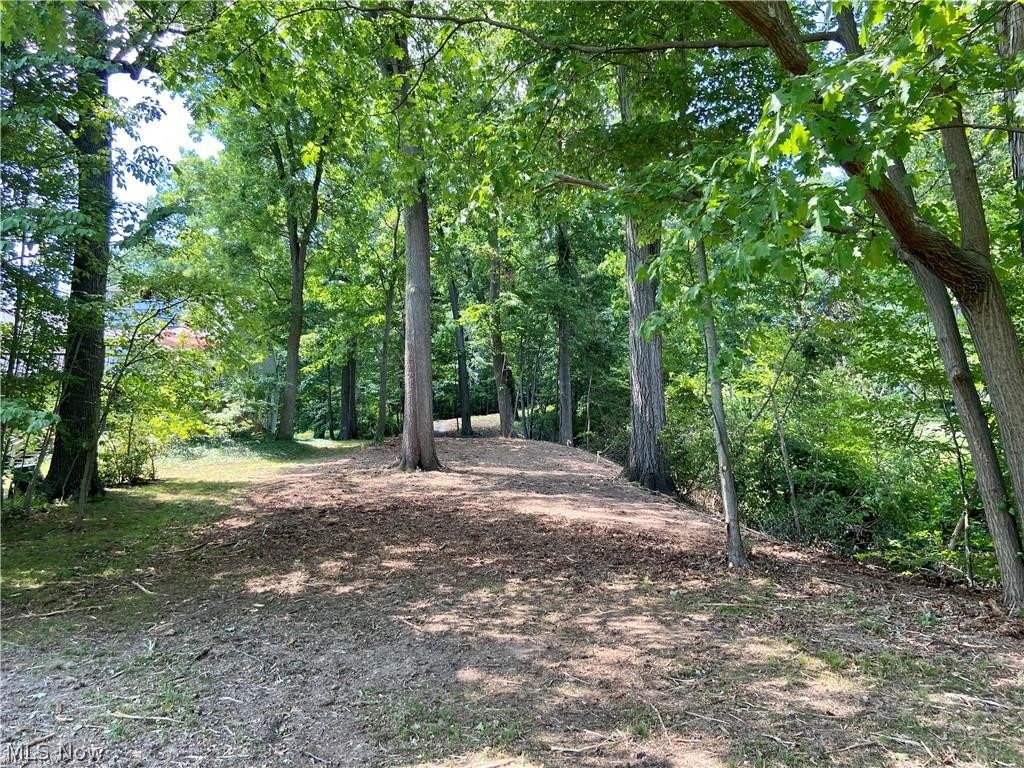 154 W Mohawk Drive