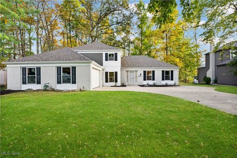 20121 Driftwood Court Strongsville OH 44149