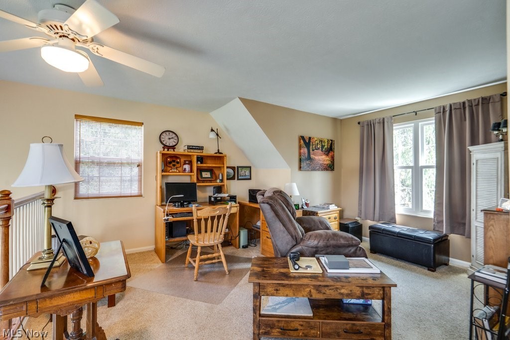 Windsor Commons - Residential