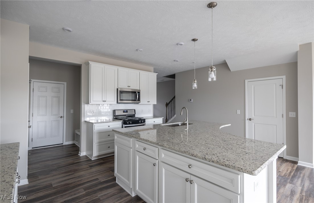 Renaissance Park at Geauga Lake - Residential