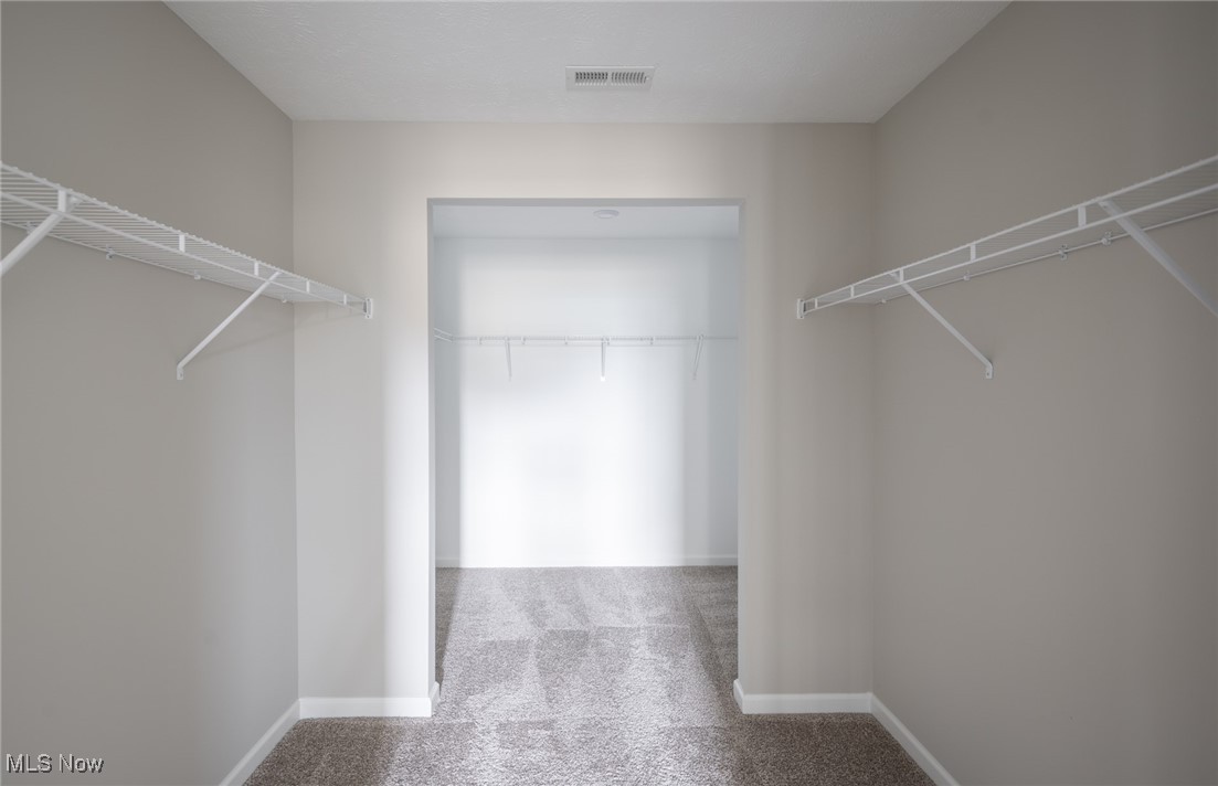 Renaissance Park at Geauga Lake - Residential