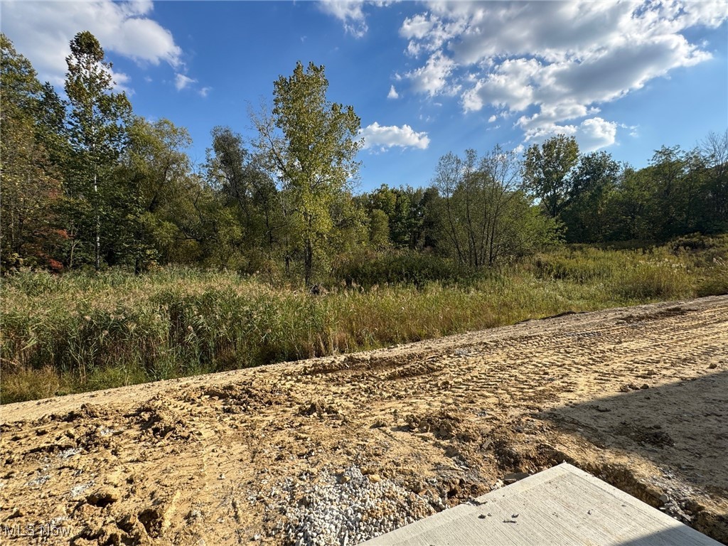 Renaissance Park at Geauga Lake - Residential