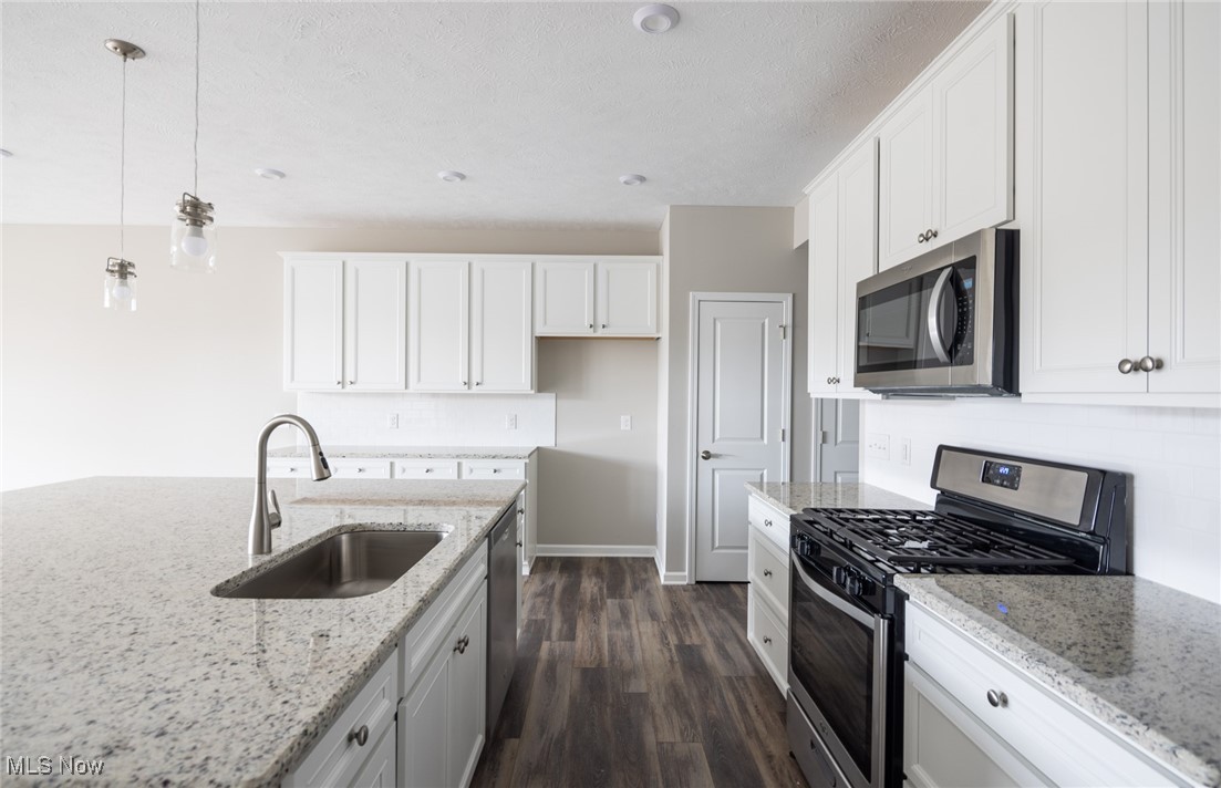 Renaissance Park at Geauga Lake - Residential