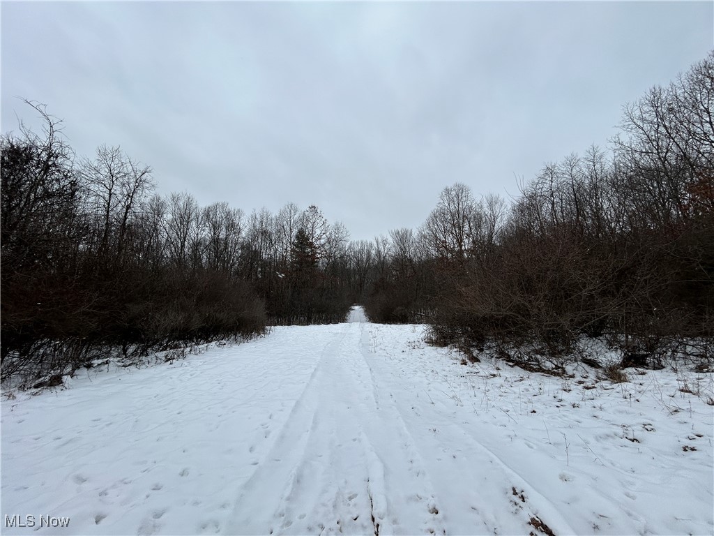 Red Lane, Cumberland, Ohio image 15