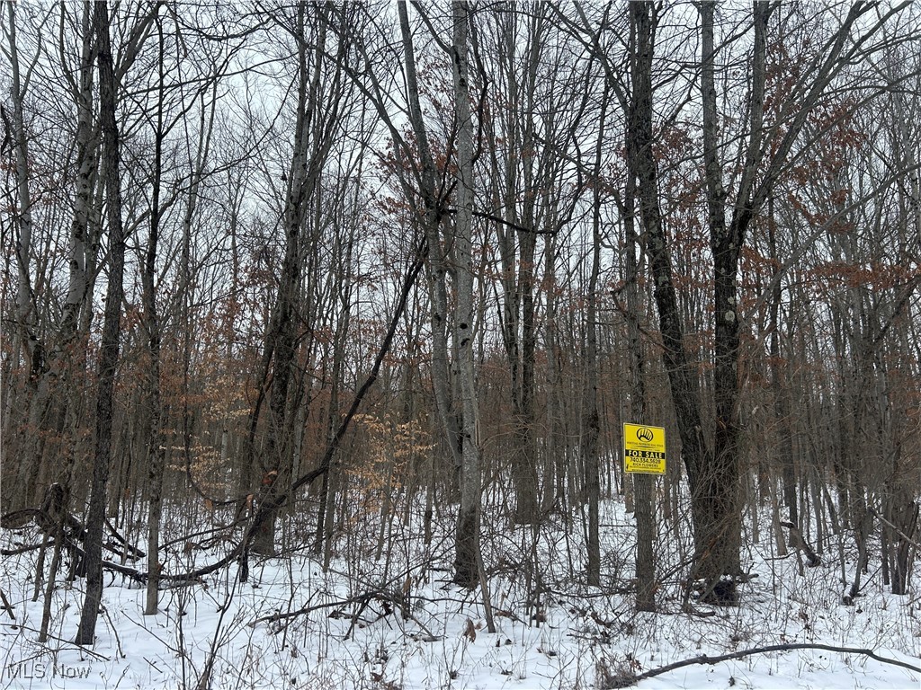 Red Lane, Cumberland, Ohio image 12