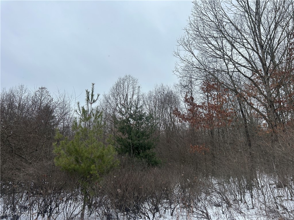 Red Lane, Cumberland, Ohio image 14