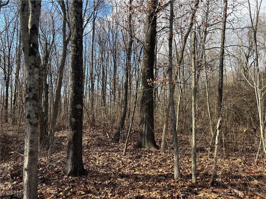 Red Lane, Cumberland, Ohio image 3