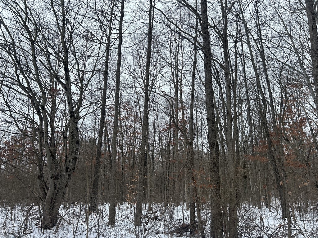 Red Lane, Cumberland, Ohio image 13