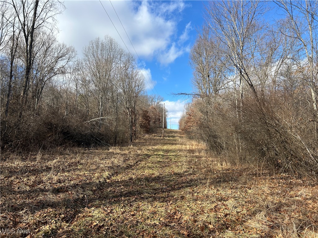 Red Lane, Cumberland, Ohio image 2