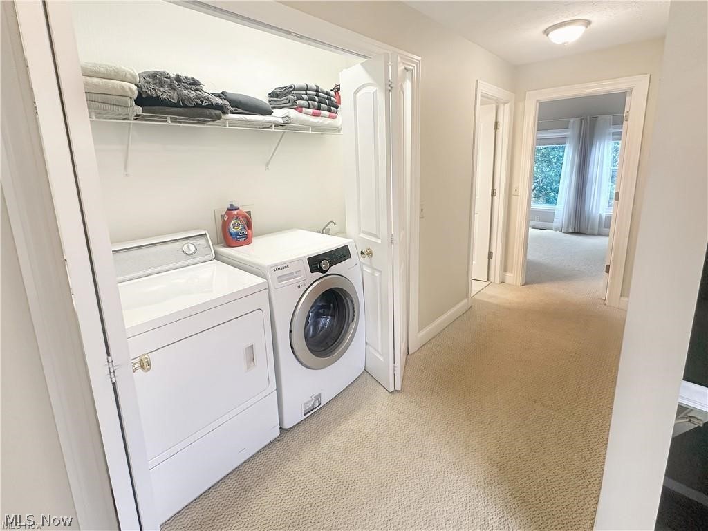 Benedict & Roots Allotment - Residential