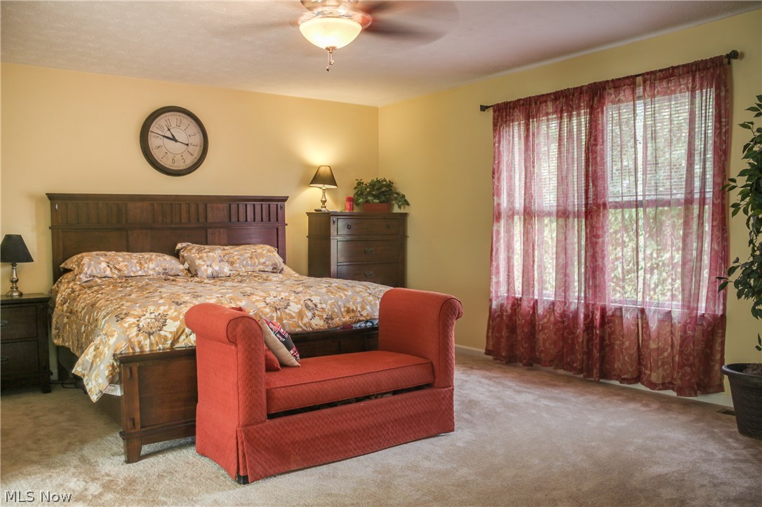 Steeplechase - Residential