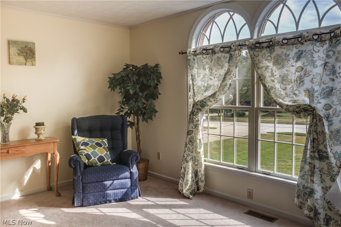 Steeplechase - Residential