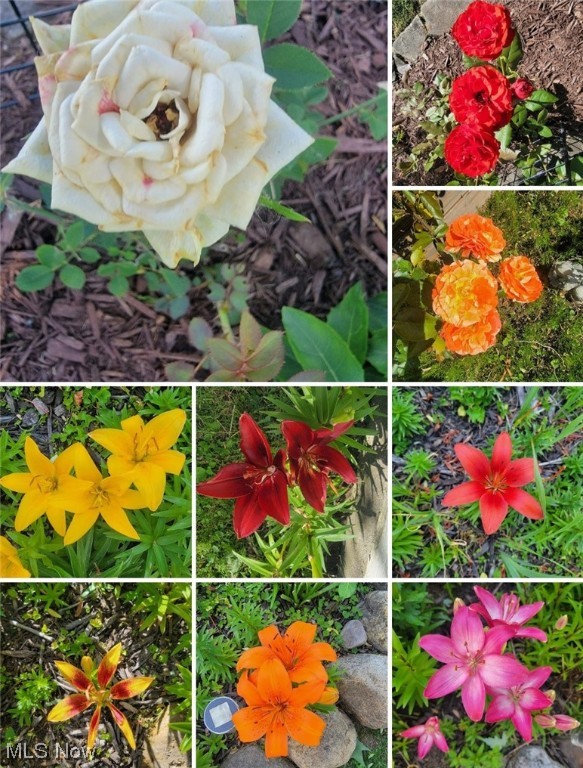 Harris Heirs Add - Residential