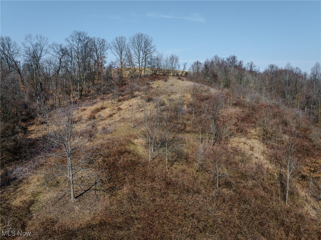 5851 Degen Road, Stone Creek, Ohio image 38