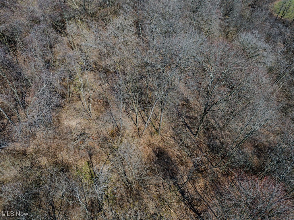 5851 Degen Road, Stone Creek, Ohio image 42