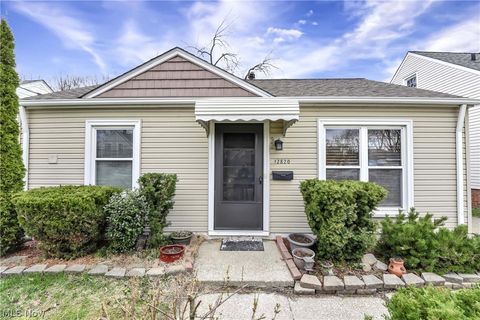 12820 Longmead Avenue Cleveland OH 44135