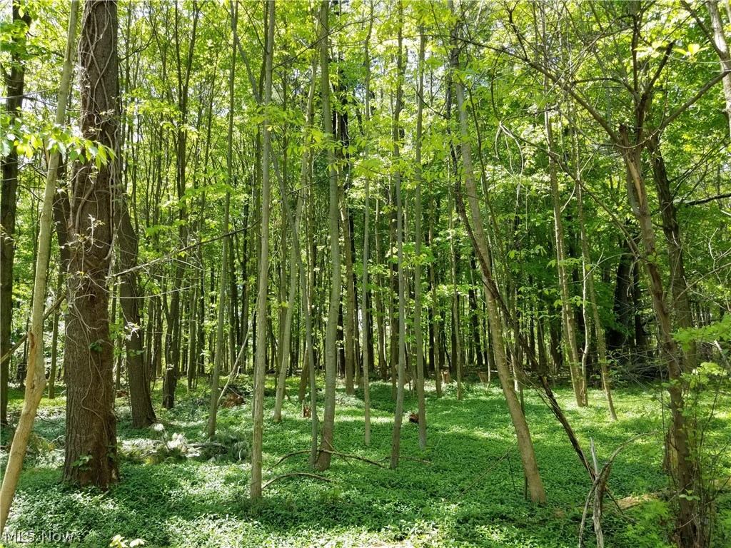 Claridon Sec 07 - Residential