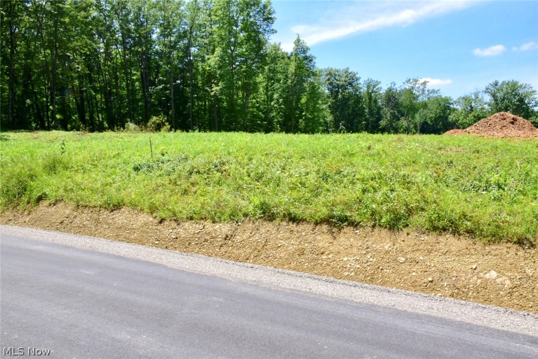 Can't find the perfect home? Why not build the home you have always dreamed of?! In the Corbin Heights Subdivision, there are several lots to choose from, ranging from 1.02-1.66 acres, with many already cleared and ready for your New Build! All with great views, including rolling hills, mature trees and ravines, also making them perfect for walkout basements! Corbin drive has been paved and taken over by the township, which is a valuable benefit for maintenance & even snow removal! Underground utilities have been installed which include public water, gas, electric and cable with high speed internet! The water tap in fees have been paid for by the seller, saving you money up front! The private septic systems (to be installed by the buyer) will provide for no monthly sewer bills! It is conveniently located just 10 minutes from Zanesville, Bob Evans & the Colony Square Mall and only 3 miles from I-70. All mineral rights will convey to buyer. Call me today to put your dream into motion!