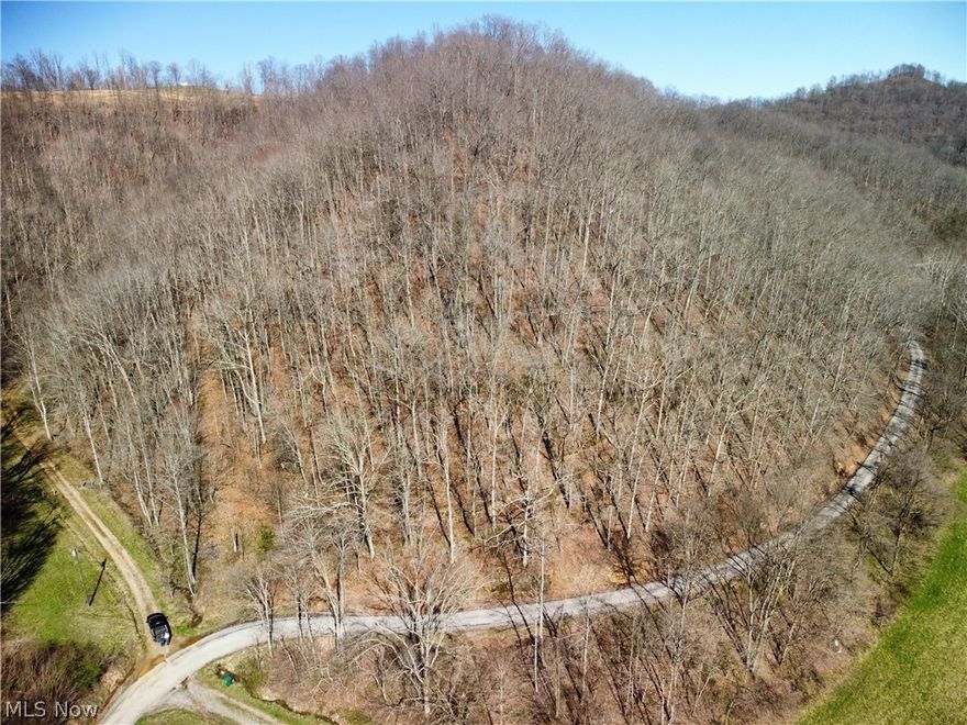 Price Reduction !!!!!CAMPING SPOT with electric meter onsite with 50 amp breaker less than 4 miles from I-79 (Exit 40/Big Otter Exit). The property is only 45 minutes north of Charleston WV bring the camper, tent so your kids they can run wild on their own property playing in the woods all day. 10 minutes to a convenience store for easy access to the basics. This property is mostly WV hillside.