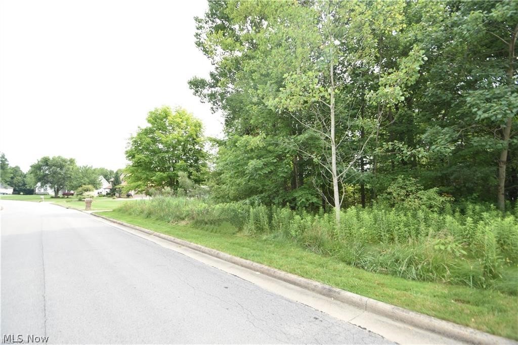 Saddlebrook Lot 156 Drive