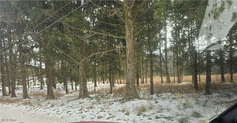 Tiny photo for 246 Ridgewood Road, Medina, OH 44256 (MLS # 5179641)