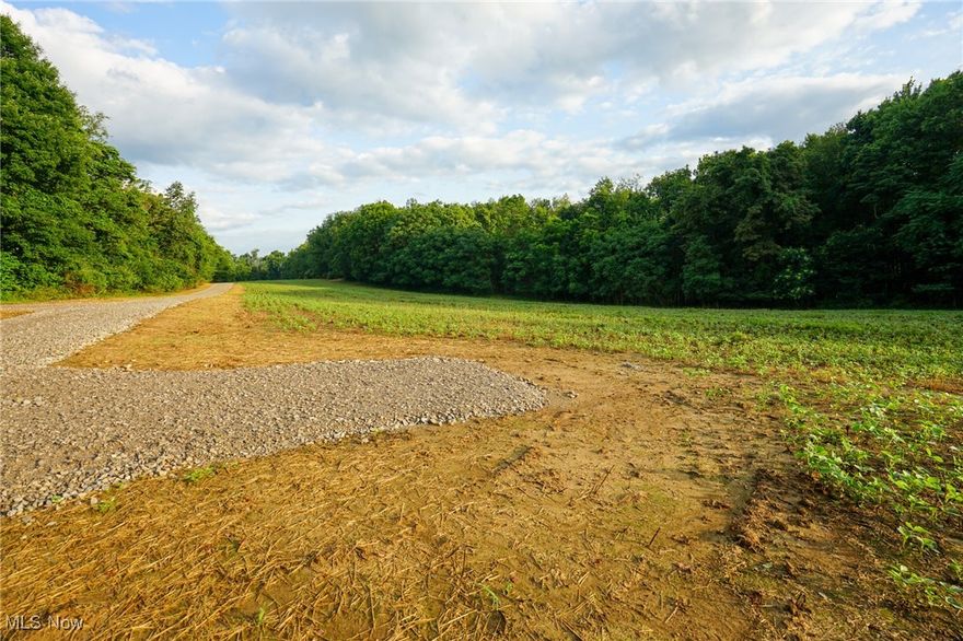 14+/- acres for sale in Perry County, Ohio. Lot 4 of Walnut acres subdivision. Located just outside of the quaint small town of Somerset, Ohio and a easy commute to Columbus. The perfect place for you new home. 

Features of this property include:

- 14 +/- total acres 
- Property is mostly wooded 
- Some tillable
- Good mix of hardwoods
- Gorgeous building site 
- Some trails for access
- Shared driveway with maintenance agreement in place
- Great hunting opportunities 
- Plenty of wildlife and deer sign throughout
- Some protective covenants in place to protect the value and integrity of the land
- Topography is mostly rolling 
- Soil test have been completed and approved
- Additional lots available 

You do not want to miss this opportunity. A gorgeous property and building site in a great location. Come enjoy the peace and quiet of the country. This property will not last long. Annual taxes to be determined once transfered. Call today with any questions or interest, I will be happy to show you around.