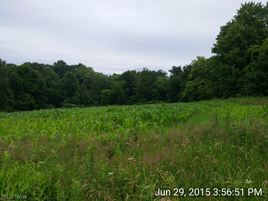 Bruner-Fairall - Residential