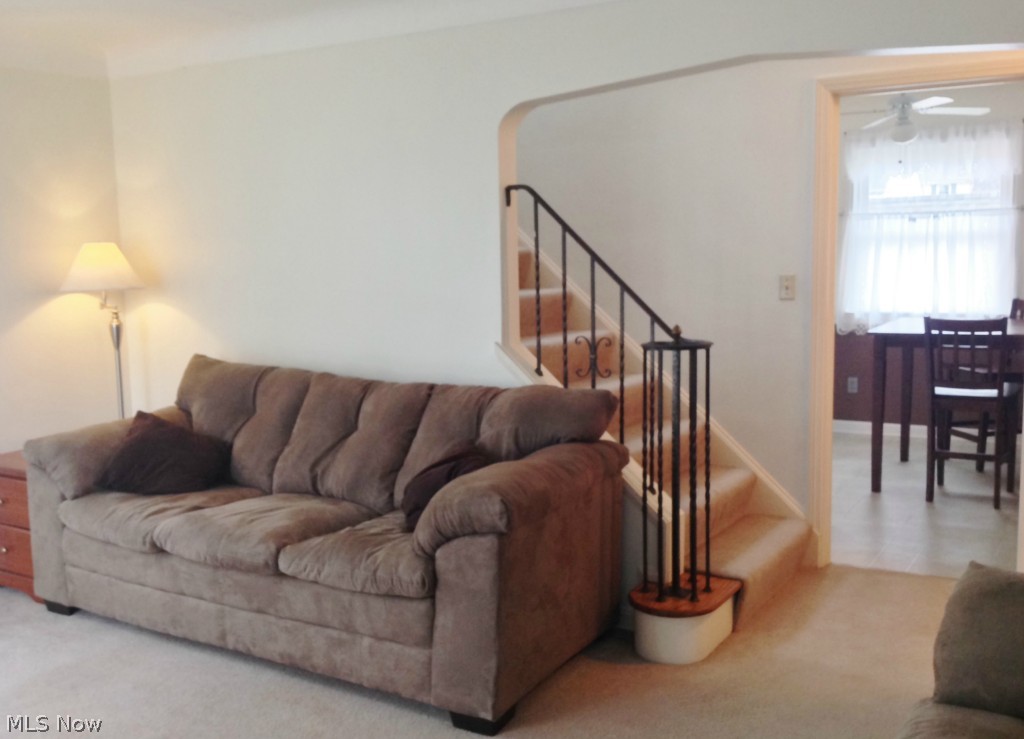 Mayfield Heights Park - Residential