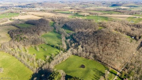 Tiny photo for 7541 Township Road 462, Loudonville, OH 44842 (MLS # 5203588)